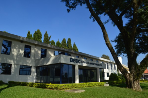 Links de Pesquisa Esic